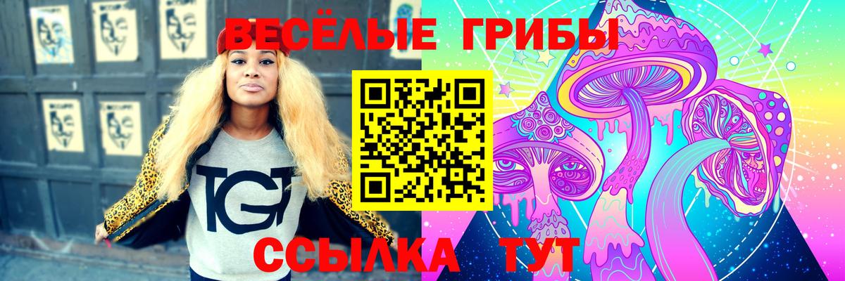 Галлюциногенные грибы GOLDEN TEACHER Чистополь