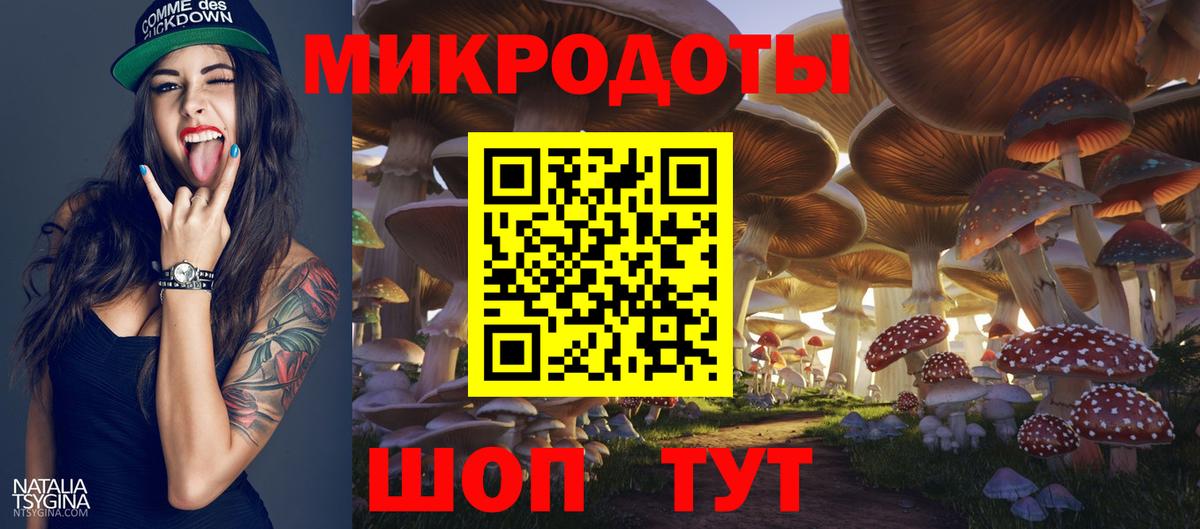 Псилоцибиновые грибы Psilocybine cubensis  где купить   Чистополь  Вход с VPN 